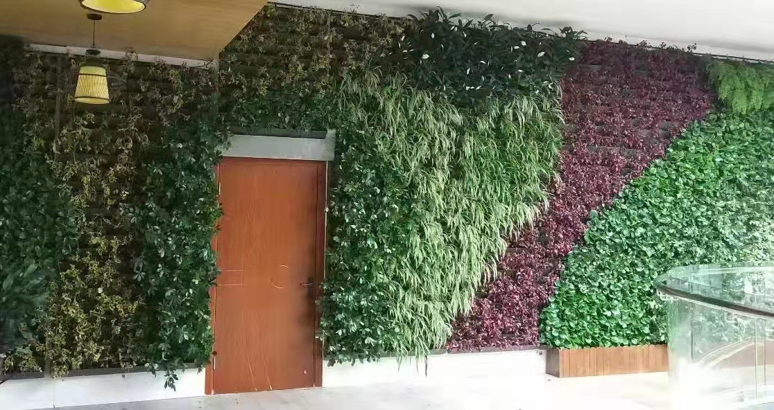 墙体绿雕